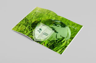 圓顆粒鉀肥產(chǎn)品手冊 高效農(nóng)業(yè)的營養(yǎng)之選